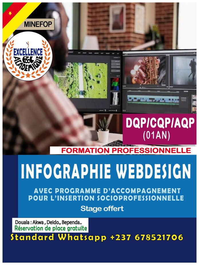 INFOGRAPHIE WEBDESIGN